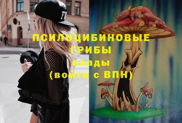 СК Алзамай
