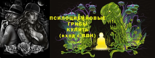 mdpv Няндома