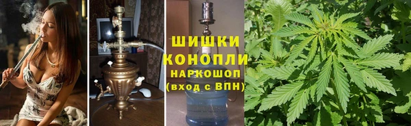 СК Алзамай