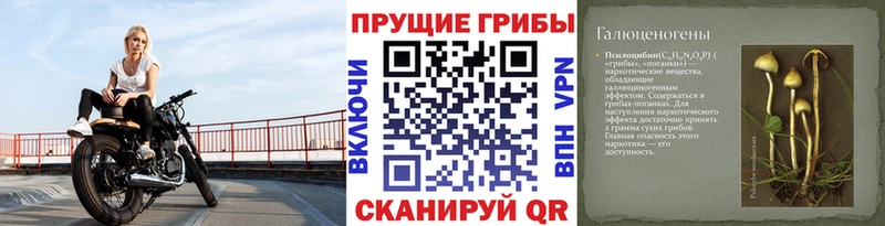 где найти наркотики  Оханск  Галлюциногенные грибы прущие грибы 
